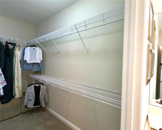 spacious closet with carpet