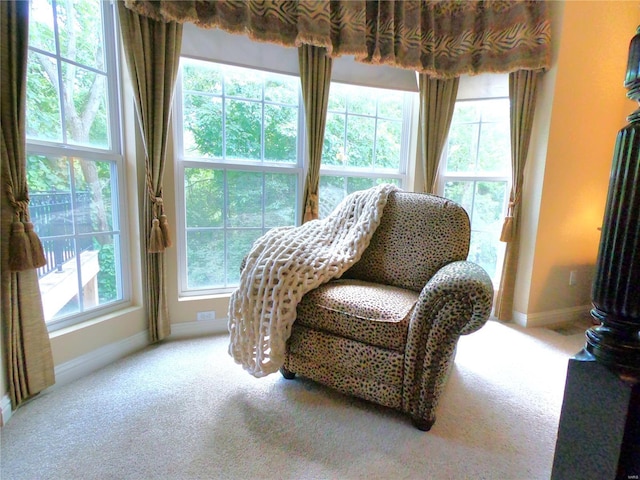 sitting room with carpet floors