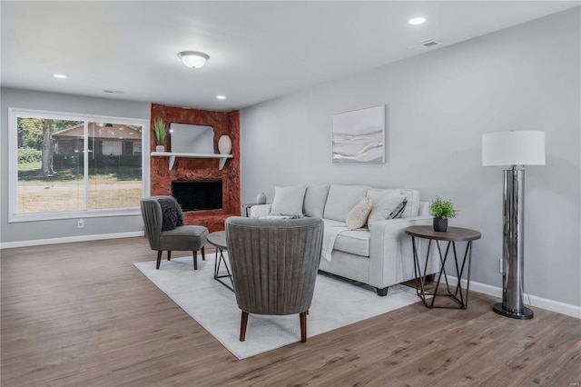 living room featuring a fireplace and light wood-type flooring