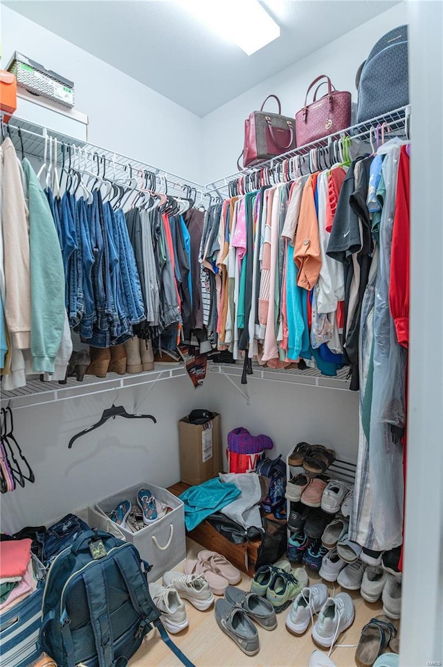 view of spacious closet