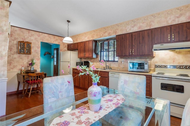 kitchen with sink, decorative backsplash, white appliances, dark hardwood / wood-style floors, and hanging light fixtures