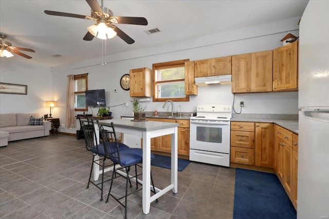 kitchen with visible vents, ceiling fan, under cabinet range hood, white appliances, and a sink