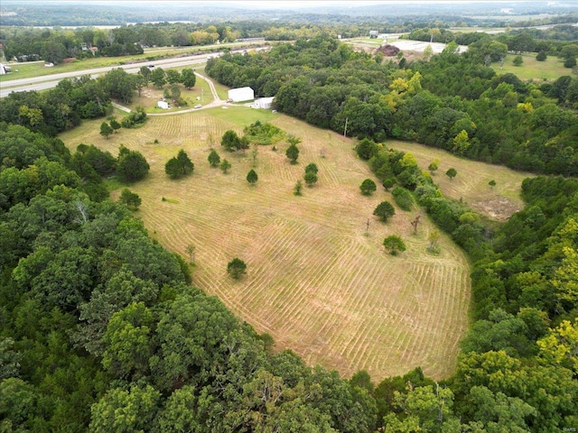 bird's eye view