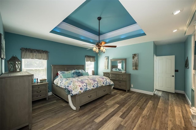 bedroom featuring multiple windows, dark hardwood / wood-style floors, and a raised ceiling