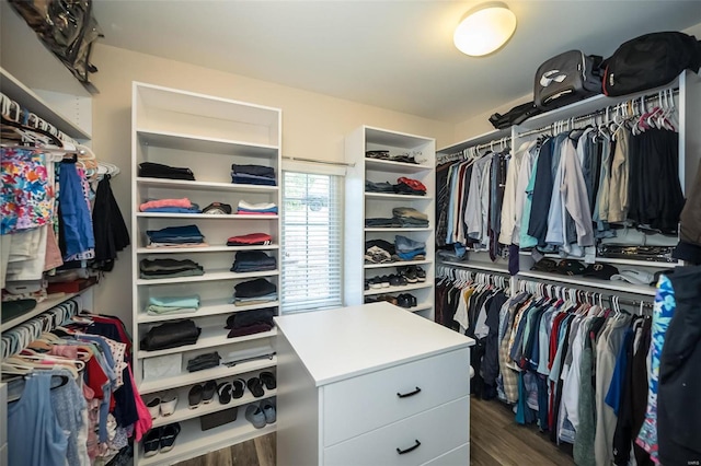 walk in closet with dark hardwood / wood-style floors