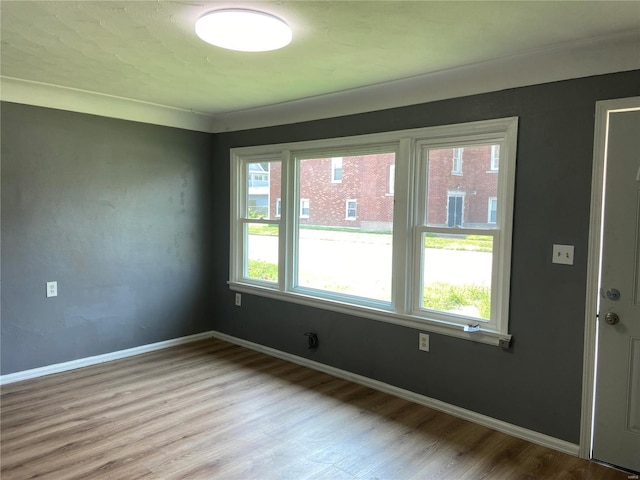 unfurnished room featuring light hardwood / wood-style flooring and plenty of natural light