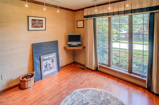 interior space featuring hardwood / wood-style flooring and a wealth of natural light