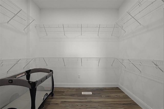 walk in closet with dark hardwood / wood-style floors