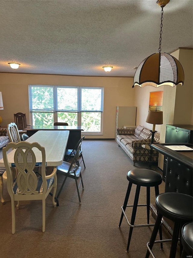 carpeted dining area featuring a textured ceiling