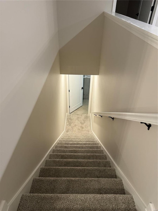 stairway featuring carpet