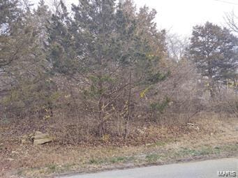 2 High Ridge Mnr, High Ridge MO, 63049 land for sale