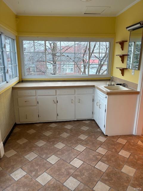 kitchen with white cabinetry, sink, and ornamental molding