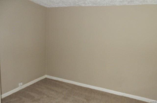 spare room featuring carpet floors