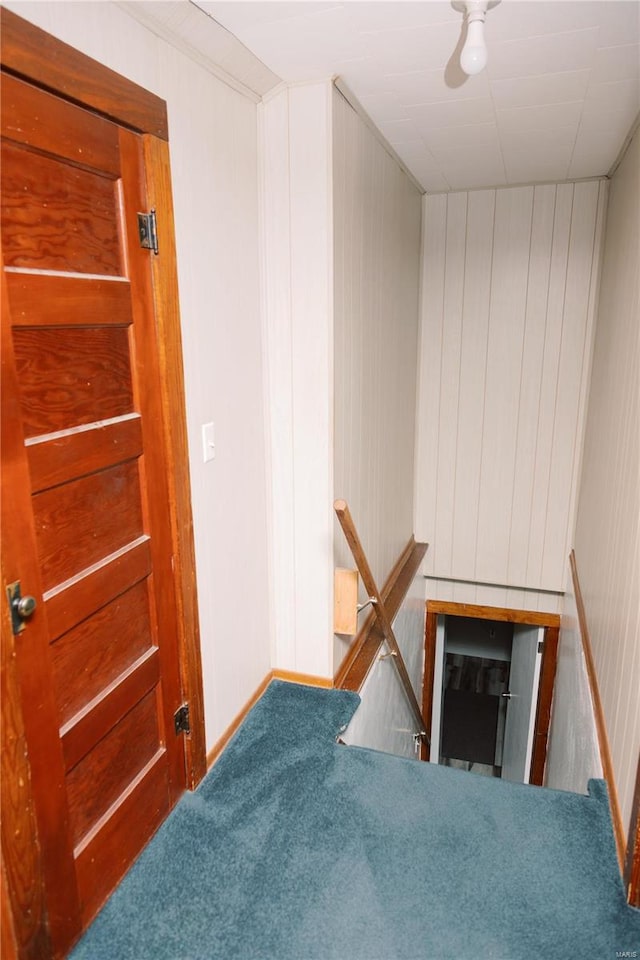 stairs with wooden walls and carpet flooring