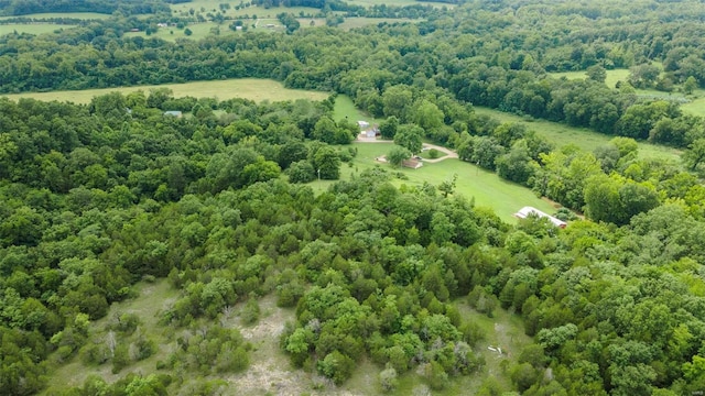 bird's eye view