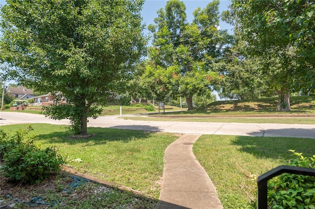 view of community featuring a lawn