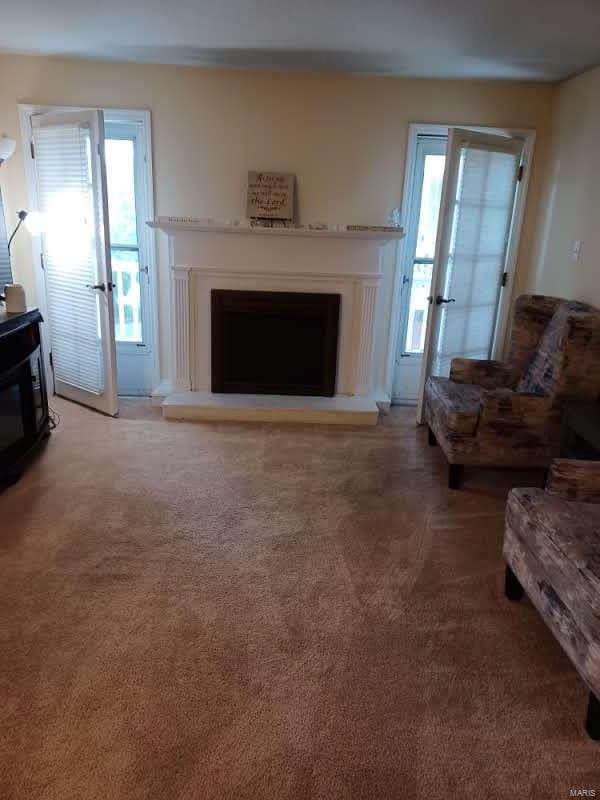 living room with carpet flooring