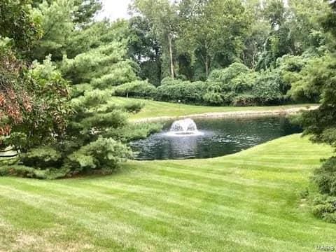 view of community with a water view and a yard