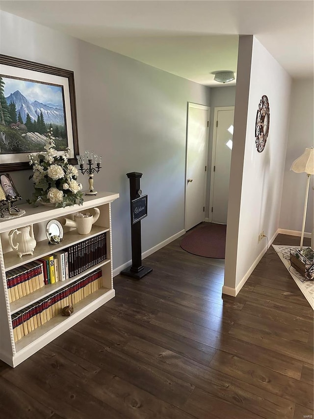 interior space with dark hardwood / wood-style flooring