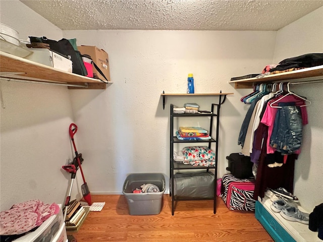 spacious closet featuring wood-type flooring