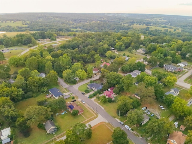 bird's eye view