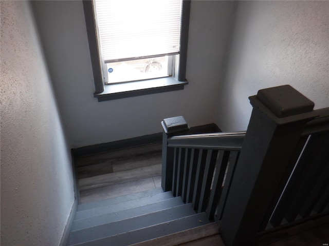 stairway featuring wood-type flooring