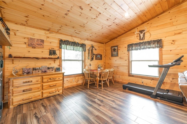 exercise room featuring dark wood-type flooring, vaulted ceiling, wooden ceiling, and a healthy amount of sunlight