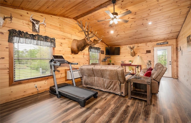 exercise room with lofted ceiling, wood finished floors, ceiling fan, wood ceiling, and wooden walls
