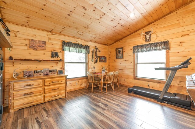 interior space with lofted ceiling, wooden ceiling, wood walls, and a healthy amount of sunlight