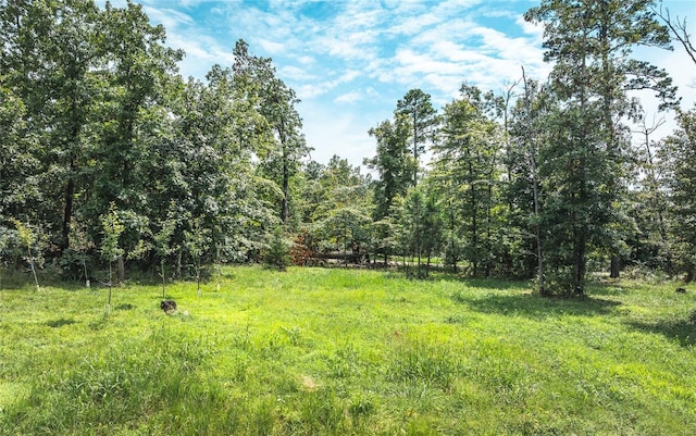 view of landscape featuring a forest view