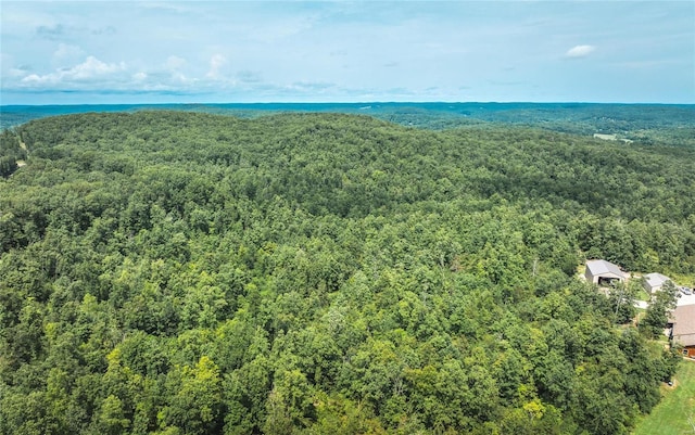 aerial view with a wooded view