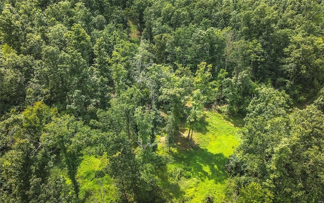 view of local wilderness with a wooded view