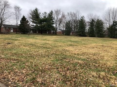 0 Megan St, Jerseyville IL, 62052 land for sale