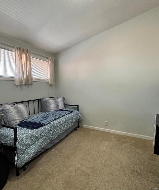 bedroom featuring carpet