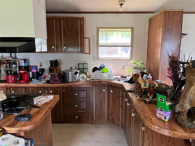 kitchen with dark brown cabinets and a textured ceiling