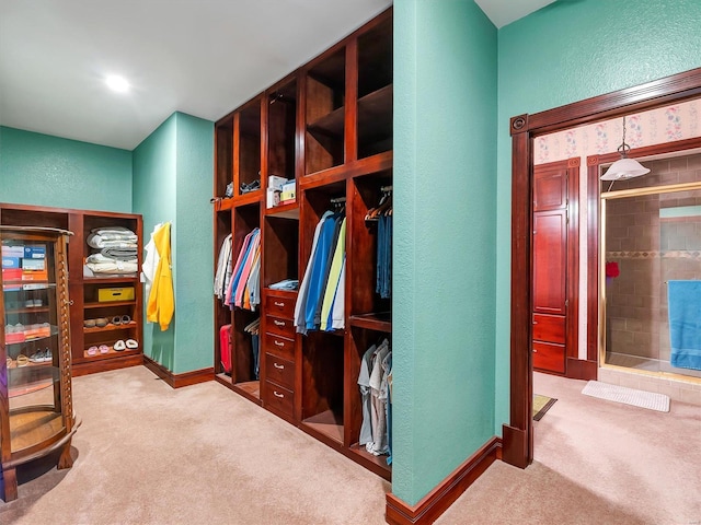 mudroom featuring light carpet