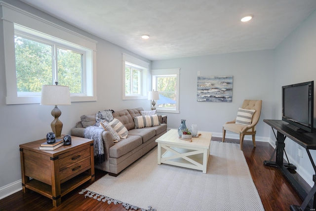 living room featuring dark wood-type flooring