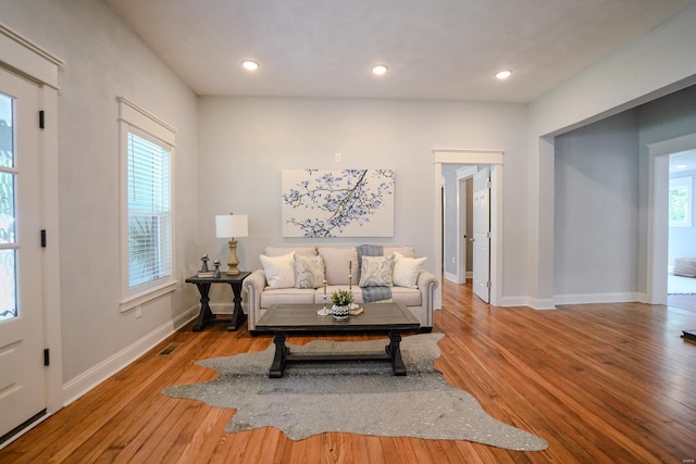 living room featuring hardwood / wood-style flooring