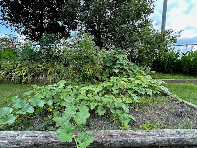 view of nature