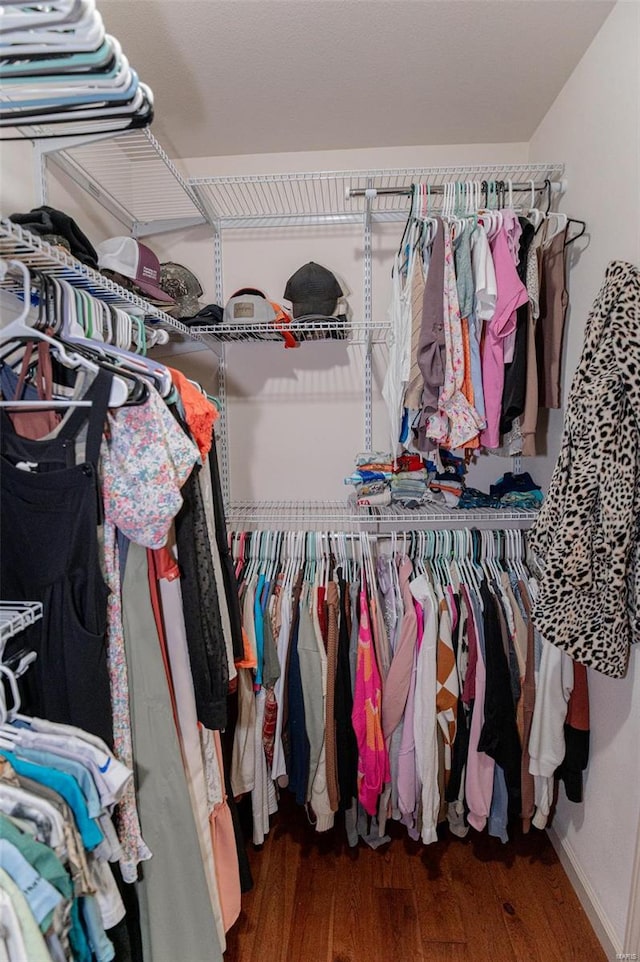 walk in closet with wood-type flooring