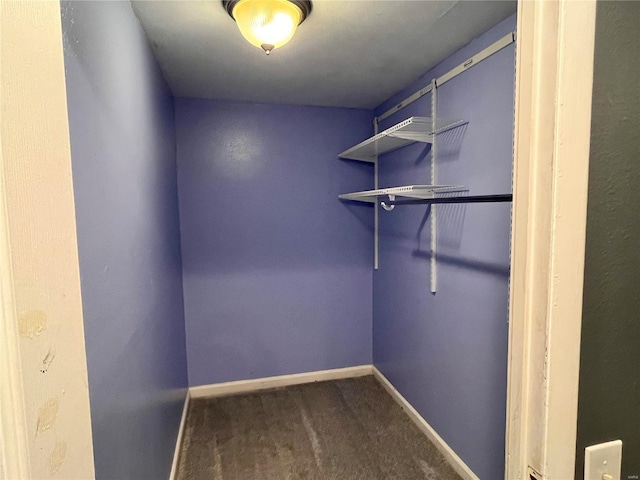 spacious closet featuring carpet