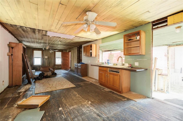 kitchen with a ceiling fan, open shelves, wood ceiling, and a sink