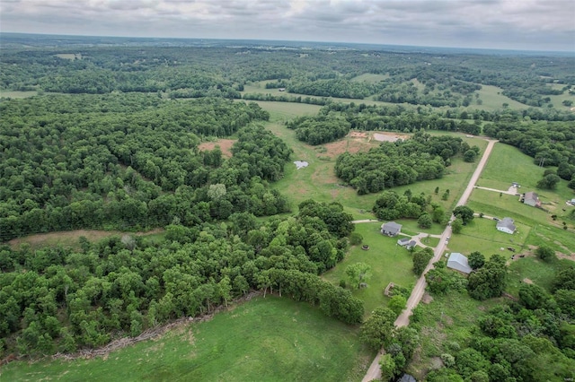 bird's eye view