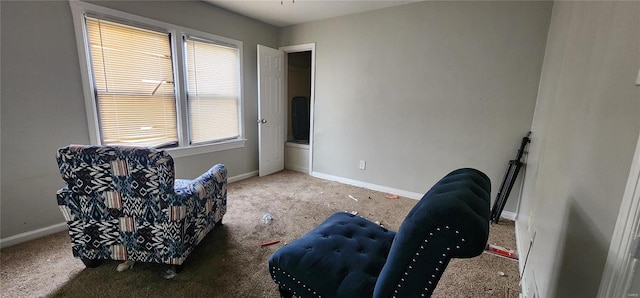 living area featuring a healthy amount of sunlight and carpet flooring