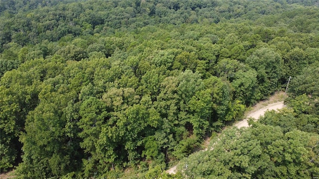 0 Pine Lake Rd, Potosi MO, 63664 land for sale