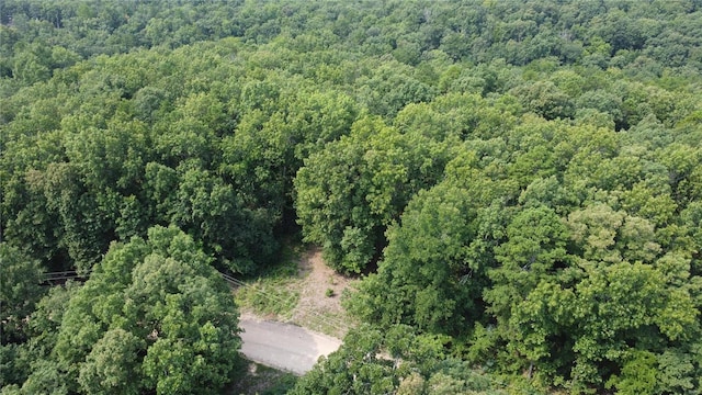 Listing photo 2 for 0 Pine Lake Rd, Potosi MO 63664