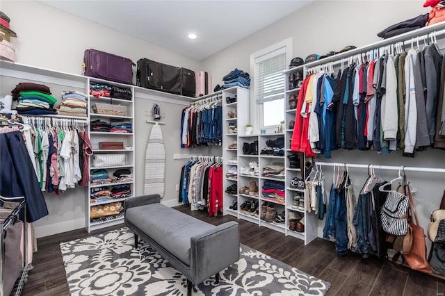 spacious closet featuring dark hardwood / wood-style floors