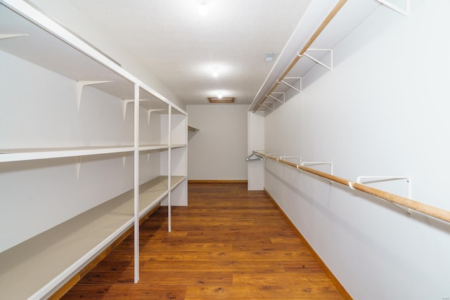 walk in closet with wood finished floors