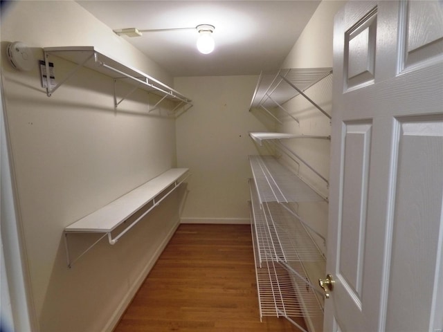 walk in closet with hardwood / wood-style floors