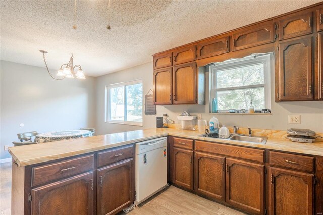 kitchen featuring light hardwood / wood-style floors, sink, a textured ceiling, pendant lighting, and white dishwasher